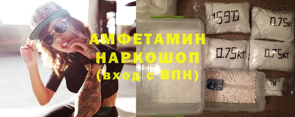 крисы Богородицк