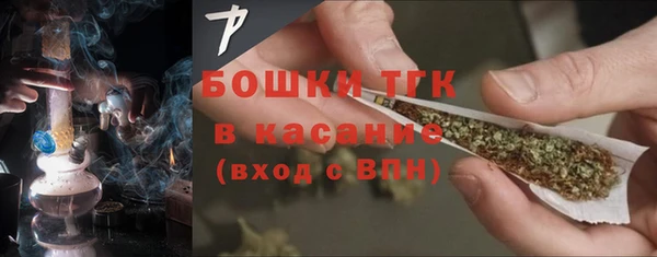 СК Богородск