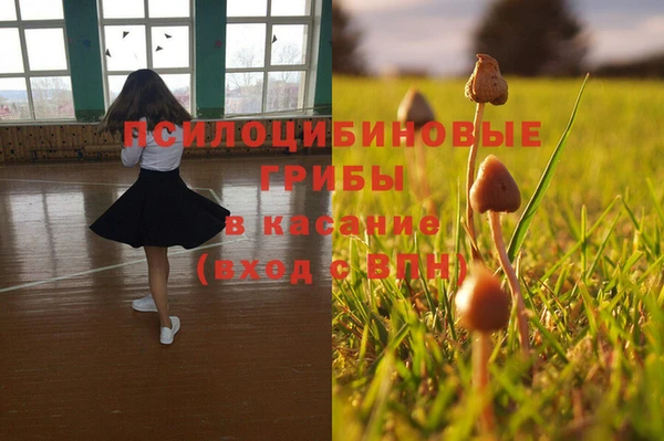 крисы Богородицк