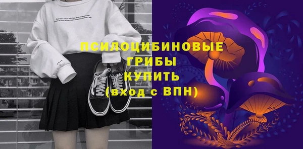 СК Богородск