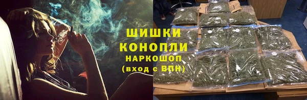 СК Богородск