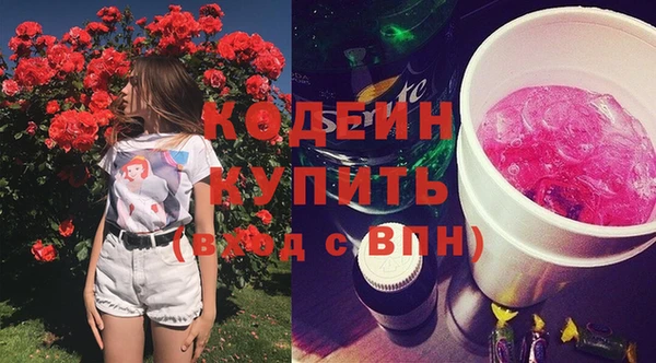 крисы Богородицк