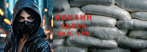 крисы Богородицк