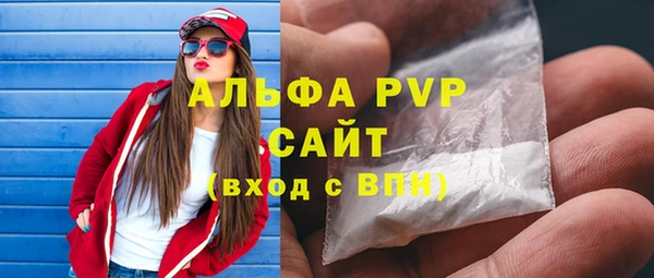 крисы Богородицк