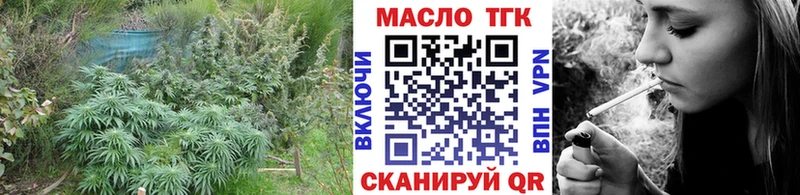 Купить  Камызяк  Дистиллят ТГК гашишное масло 