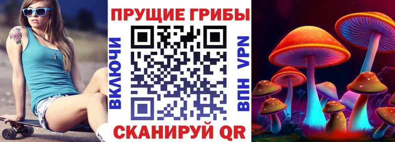 Купить  Камызяк  Псилоцибиновые грибы Psilocybine cubensis 